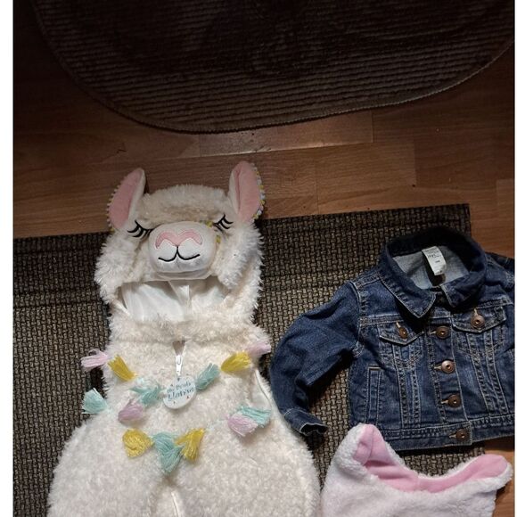 4 sweet jackets for kids appx 18 Mo-2T plus cap & mittens-some new with tags - Picture 4 of 9